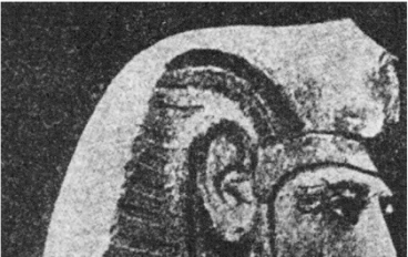 سقوط الأسرة التاسعة عشرة: كيف انهارت قوة رمسيس؟