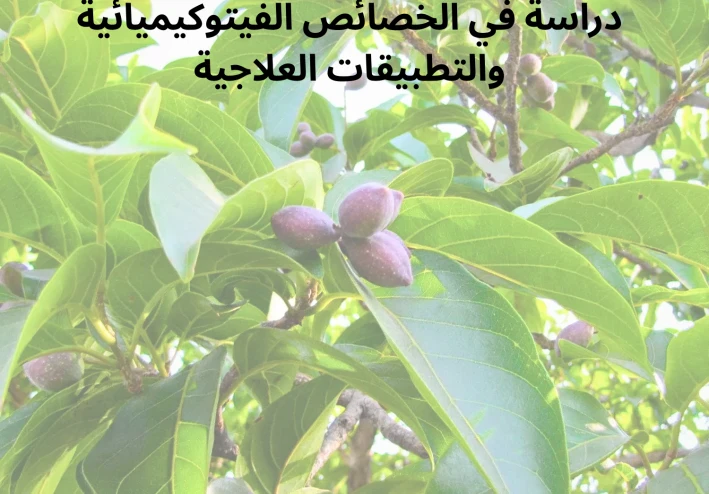 شجرة الهاريتاكي (Terminalia chebula): دراسة في الخصائص الفيتوكيميائية والتطبيقات العلاجية