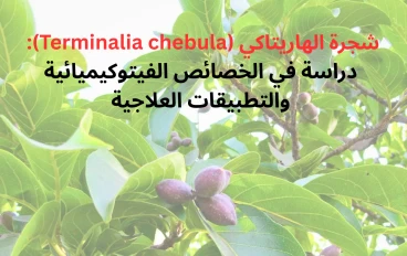 شجرة الهاريتاكي (Terminalia chebula): دراسة في الخصائص الفيتوكيميائية والتطبيقات العلاجية