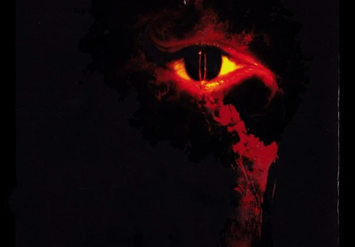 اليوم الذي اكتشفت في القراءة خوف