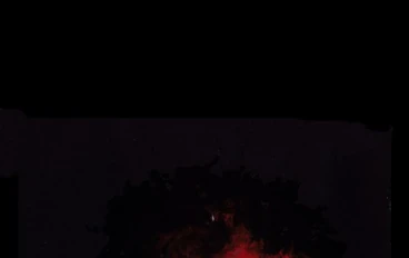 اليوم الذي اكتشفت في القراءة خوف