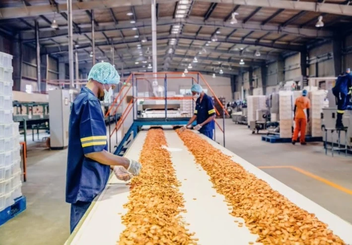 متطلبات الكودكس الدوليه في التصنيع الغذايء