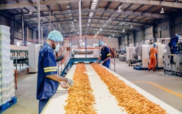 متطلبات الكودكس الدوليه في التصنيع الغذايء