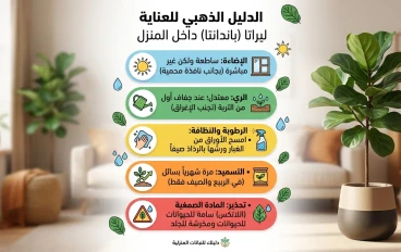 شجرة الفيكوس المقدسة (Ficus religiosa): رمز التنوير ورئة الطبيعة