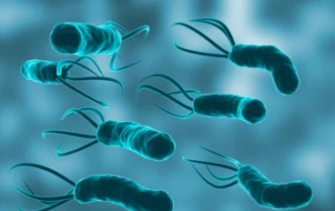 💡 🦠 كل ما تريد معرفته عن جرثومة المعدة | أعراضها وعلاجها بسهولة