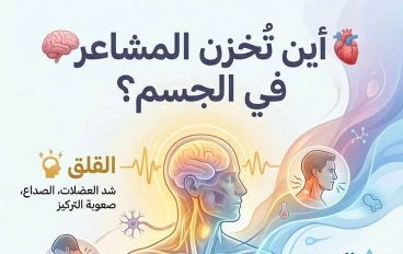 لغة الجسد الخفية: كيف تداوي مشاعرك من باطن قدميك وكفيك؟