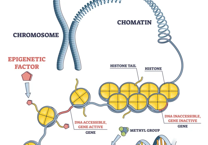 الكيمياء الحيوية للجينات: كيف تتحكم الجزيئات في شفرة الحياة؟