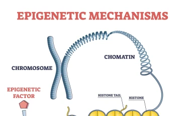 الكيمياء الحيوية للجينات: كيف تتحكم الجزيئات في شفرة الحياة؟