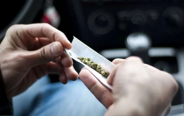 "الحشيش وتأثيره على الصحة النفسية"