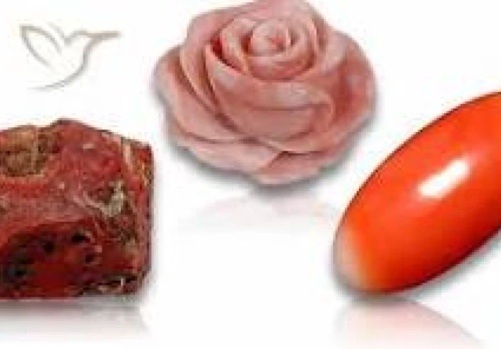 حجر المرجان: أسرار الجمال البحري وفوائده وأنواعه واستخداماته