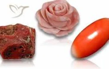 حجر المرجان: أسرار الجمال البحري وفوائده وأنواعه واستخداماته