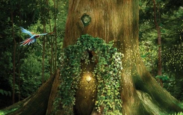 سر الغابة المضيئة