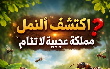 💪 حشرة صغيرة بقوة خارقة! ماذا تعرف عن النمل؟