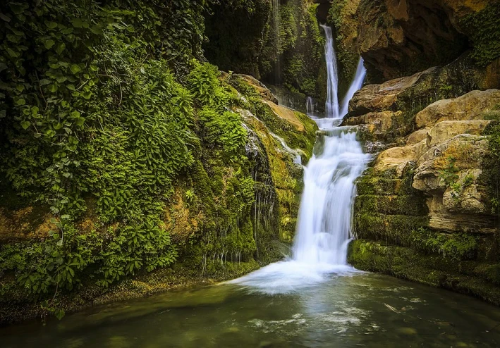 الطبيعة.. سيمفونية البقاء وملاذ الروح