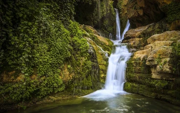الطبيعة.. سيمفونية البقاء وملاذ الروح