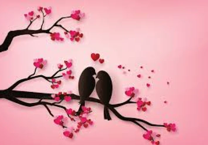 الحب مشاعر إنسانية تتجاوز الزمن والمكان