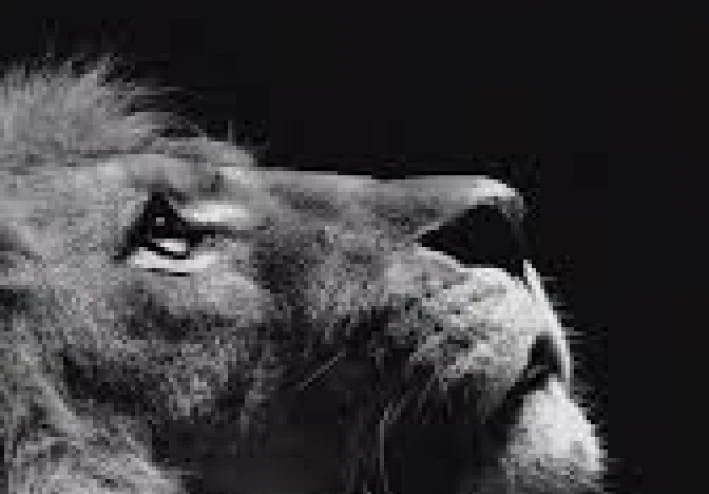 حين تتحول القوة إلى نقطة ضعف