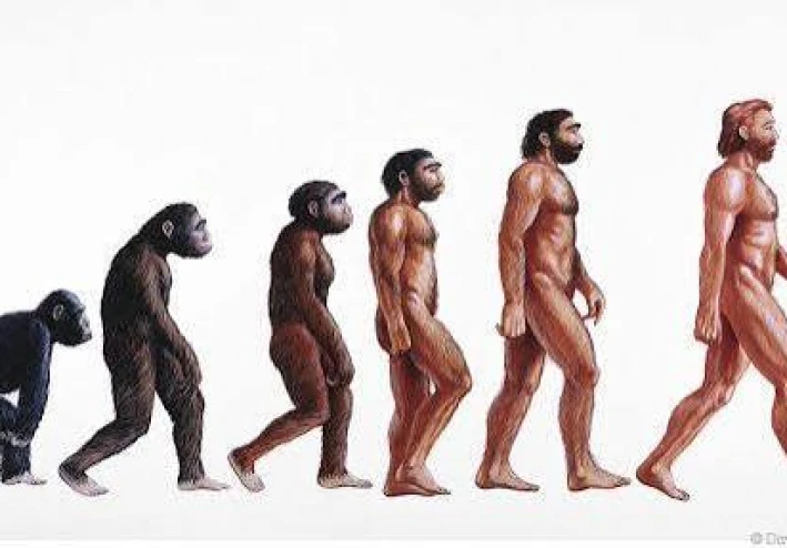 أوائل الجنس البشري