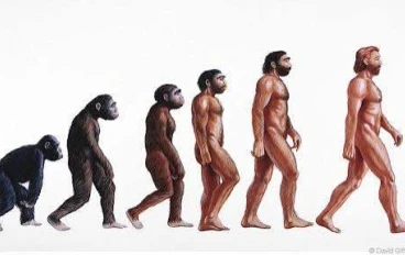 أوائل الجنس البشري 