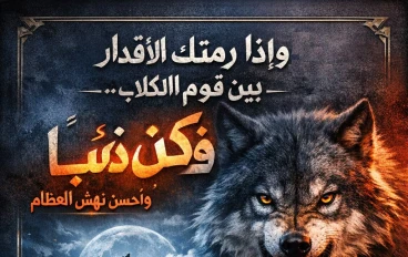 وإذا رمتك الأقدار بين قوم الكلاب.. فكن ذئباً وأحسن نهش العظام