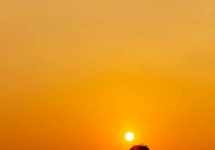 🌱 ازاي تطور نفسك وتبني نسخة أفضل منك كل يوم؟