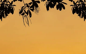 🌱 ازاي تطور نفسك وتبني نسخة أفضل منك كل يوم؟