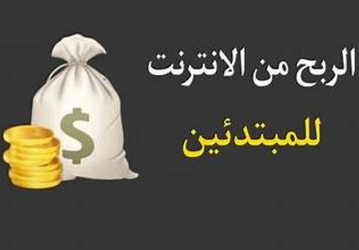 لا تبدأ قبل قراءة هذا: دليل الربح من الإنترنت في 2026 (خريطة طريق واقعية من الصفر إلى أول 500 دولار)..