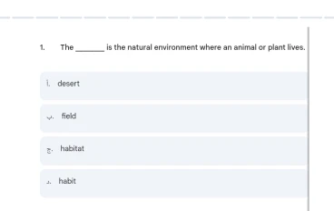 اختبار إلكتروني واهم ٢٠ سؤال اختار  كلمات اللغة الإنجليزية الصف الثالث الإعدادي الترم الثاني 2026 (تصحيح فوري)