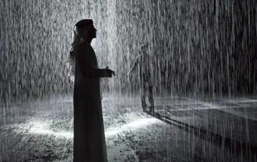 رواية "صقر الصعيد والعروس المتمردة" - (الأجزاء من 1 إلى 5): حكاية عشق وغرور!