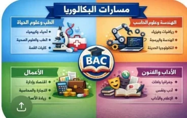 دليل طلاب البكالوريا 2026: كيف تختار المسار المناسب لك بسهولة؟