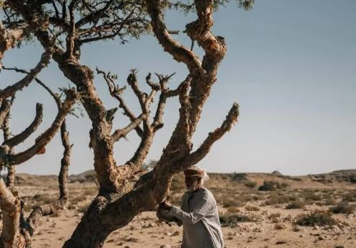 أغرب جريمه الحقيقية في التاريخ: عندما يتجاوز الواقع حدود الخيال!