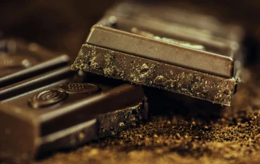 The Secret Power of Chocolate: From Ancient Treasure to Modern Superfood