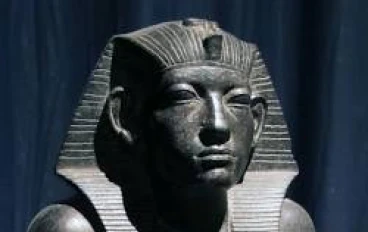 من رماد الاحتلال إلى قمة المجد".