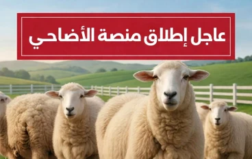 إطلاق منصة "أضاحي" الرقمية لاقتناء المواشي المستوردة استعدادًا لعيد الأضحى 2026