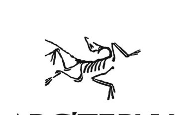 أرك-تِركس، شركة الملابس الفريدة.