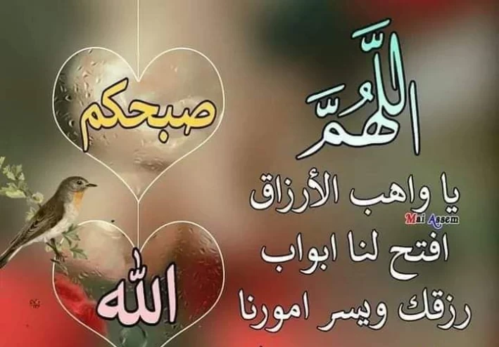 اسئلة في القرأن الكريم