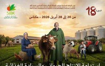 المعرض الدولي للفلاحة بالمغرب 2026: مسار تطور حدث استراتيجي نحو الريادة العالمية.