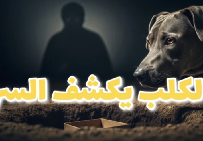 قصة وفاء كلب غيّرت حياة رجل بالكامل 🥺❤️