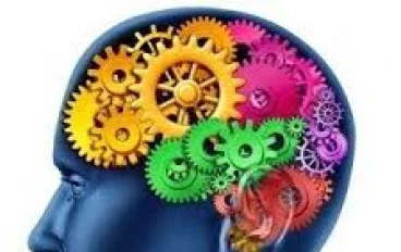 العلوم الحيوية والحركية: فهم متكامل لجسم الإنسان وأدائه