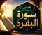 صورة مقال تفسير سورة البقرة (الجزء الأول): بداية الهداية وبناء الإيمان في القرآن الكريم