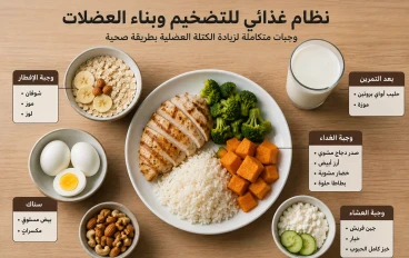 نظام غذائي للتضخيم وبناء العضلات بطريقة صحية للمبتدئين والمحترفين
