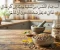 صورة مقال لب عباد الشمس: من تسلية يومية إلى كنز غذائي قد يغيّر صحتك دون أن تشعر
