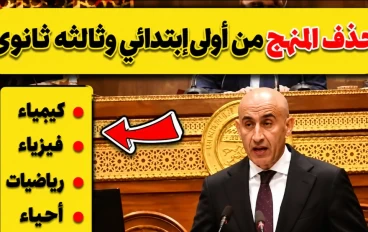 صدمه التعليم الجديده في مصر!