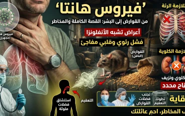 فيروس هانتا.. المرض الغامض الذي يبدأ كأنه إنفلونزا وينتهي بكارثة رئوية
