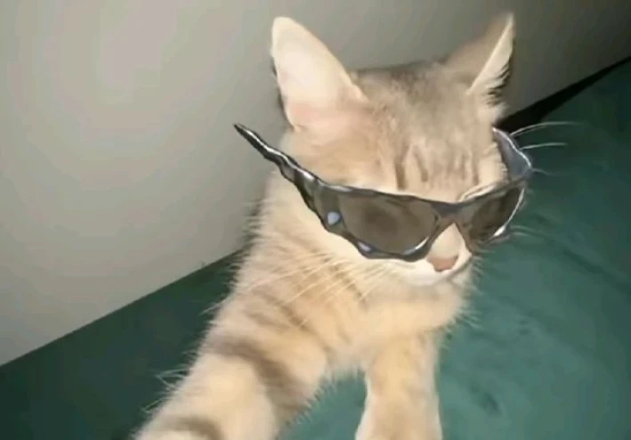 غيبوبة التاريخ العميقة