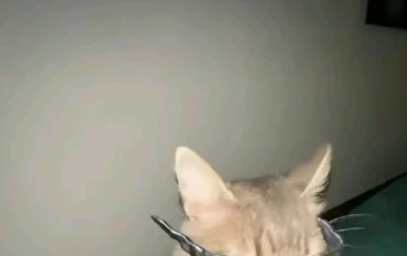 غيبوبة التاريخ العميقة
