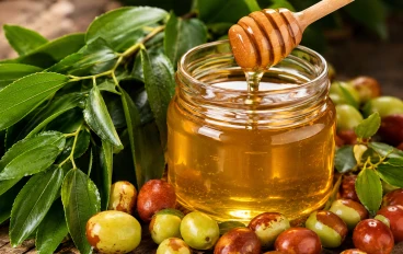 فوائد السدر الصحية: 6 أسرار علاجية مذهلة تجعلها شجرة مباركة .