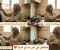 صورة مقال 😂 الأم المصرية: كائن أسطوري لا يُهزم!
