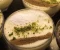 صورة مقال 🍮 حلى الفقع - وصفة سهلة ولذيذة بطعم لا يُقاوم