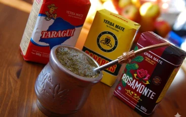 10 Fascinating Facts About Yerba Mate and Its Rituals Between Argentina and Syria